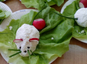 Myszka twarogowa- zajęcia kulinarne gr. VI